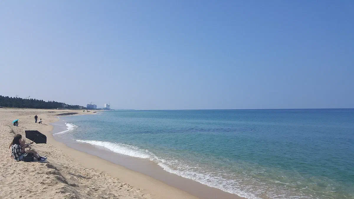 Anmok Beach in Gangneung, clear water and sand with the town's skyline visible up the coast — the beach the coffee street grew up around
