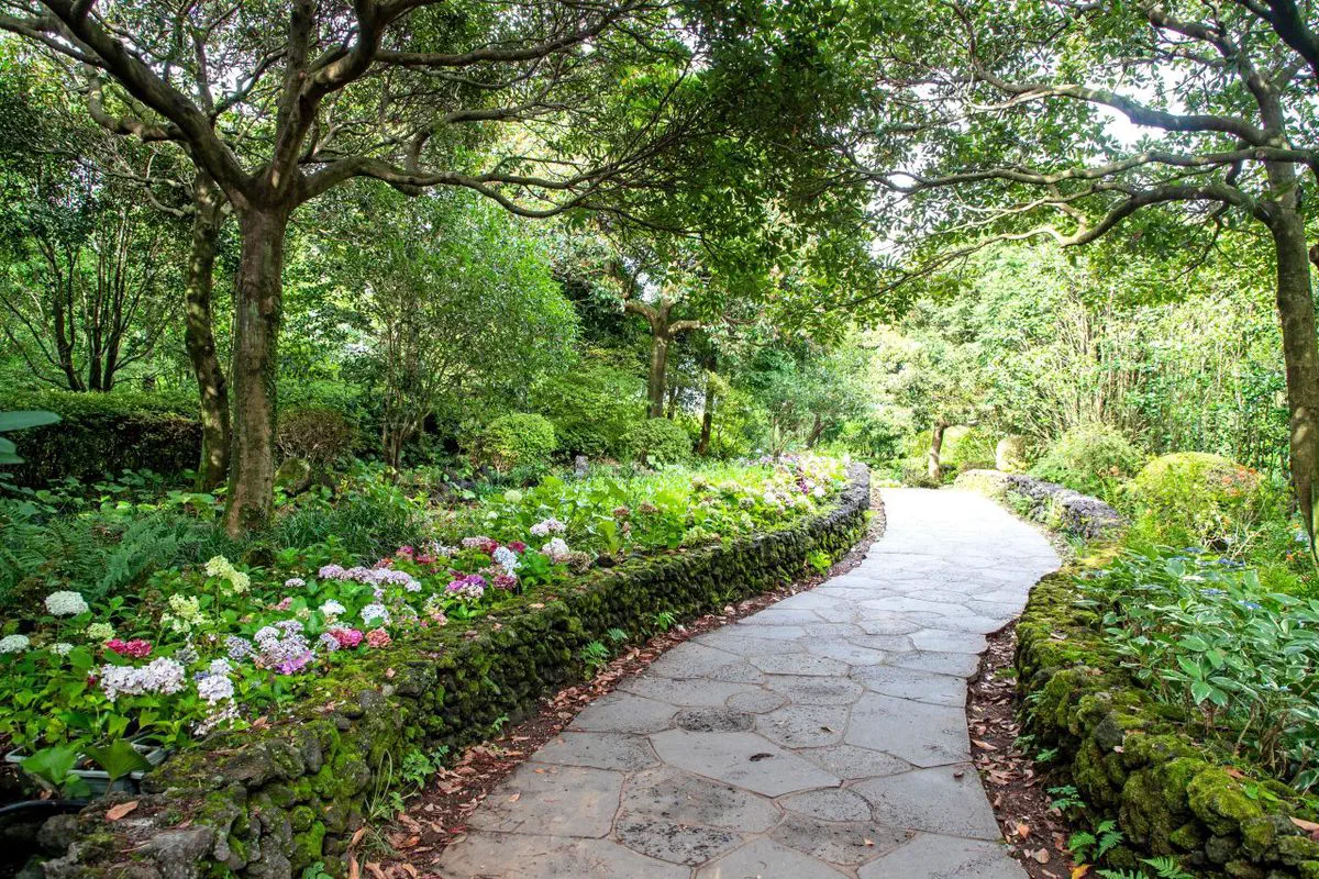 A stone-walled garden path lined with hydrangeas at Camellia Hill, a botanical park planted with camellia trees in Andeok-myeon, Seogwipo, Jeju