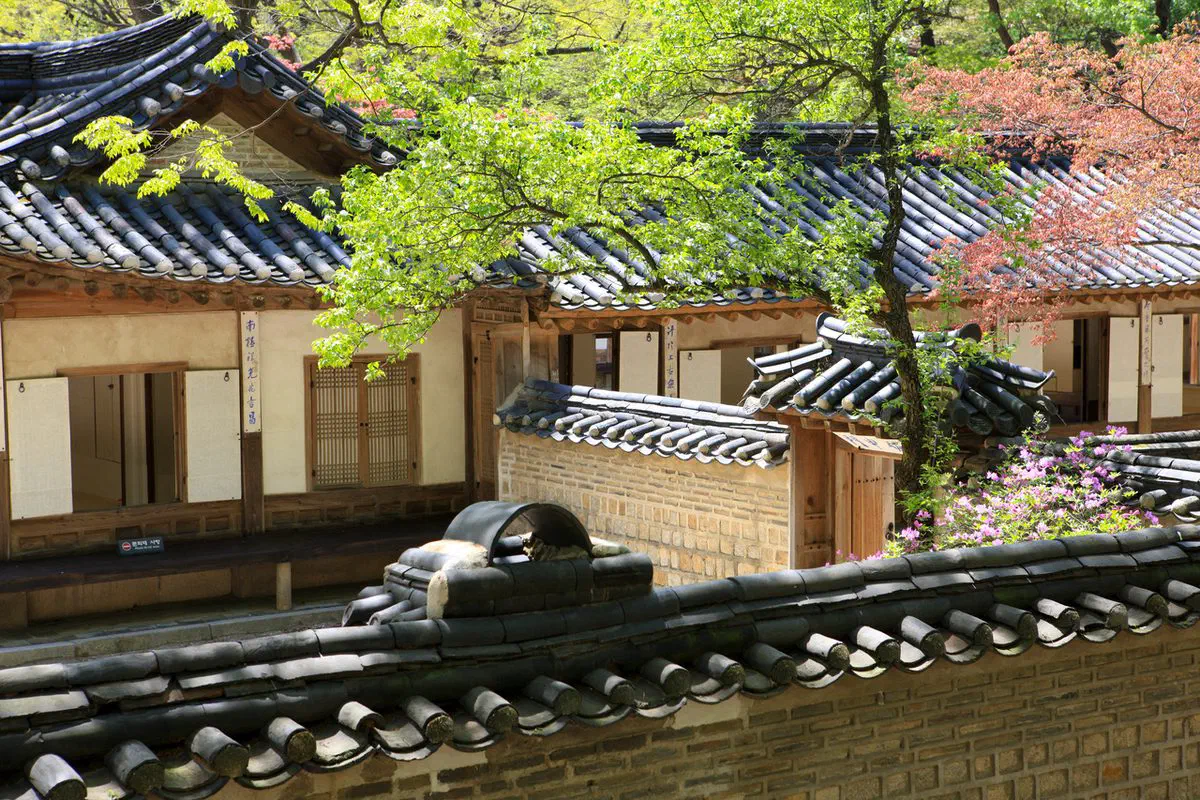 Yeongyeongdang, a hanok-style reception hall inside Changdeokgung's Huwon rear garden, in spring