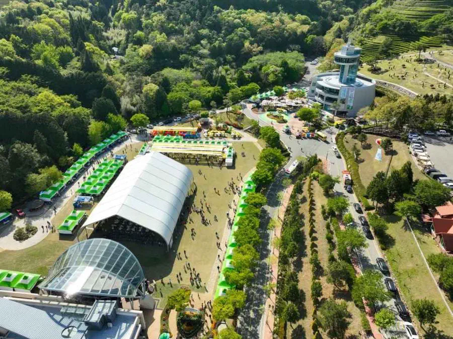 Boseong Green Tea Festival — festival photograph