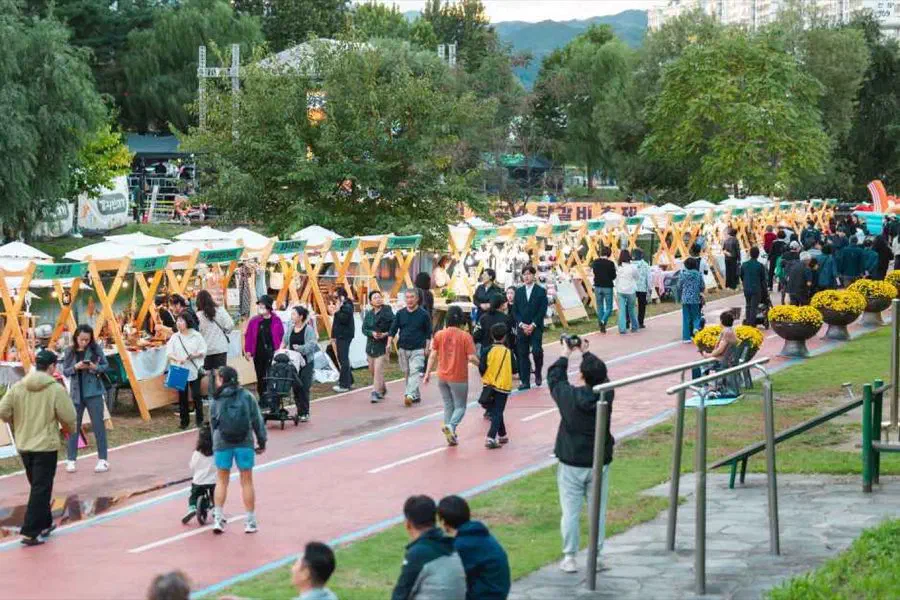 Chuncheon Makguksu & Dakgalbi Festival — festival photograph