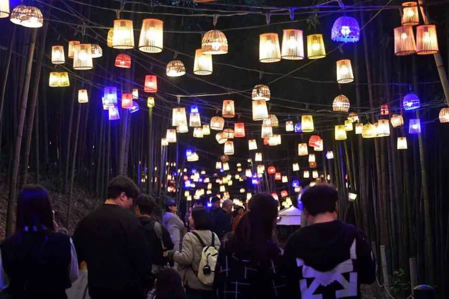 Damyang Bamboo Festival — festival photograph