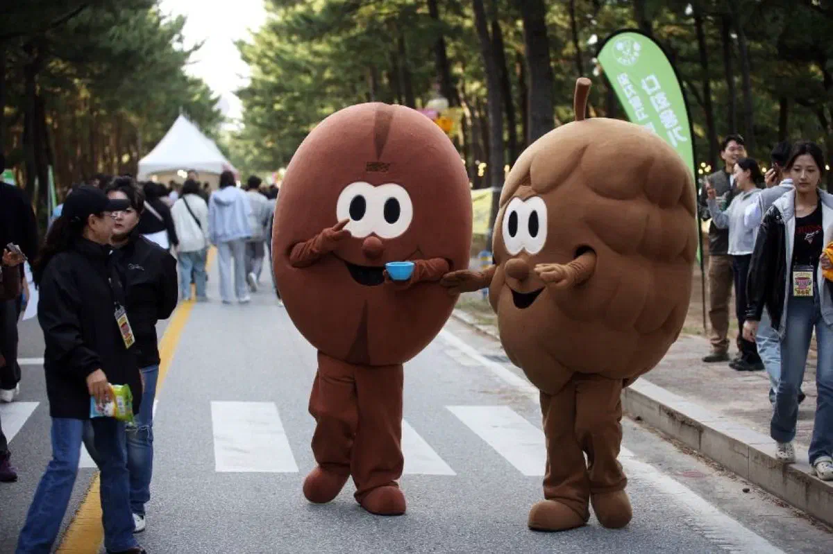 Gangneung Coffee Festival in Gangneung, Gangwon