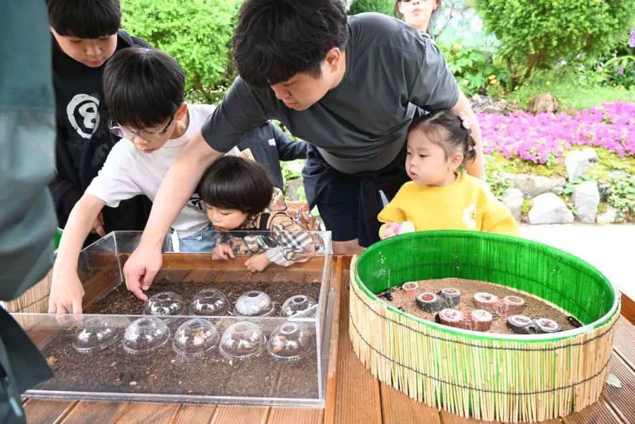 Hampyeong Butterfly Festival — festival photograph