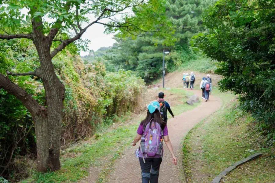 Jeju Olle Walking Festival — festival photograph