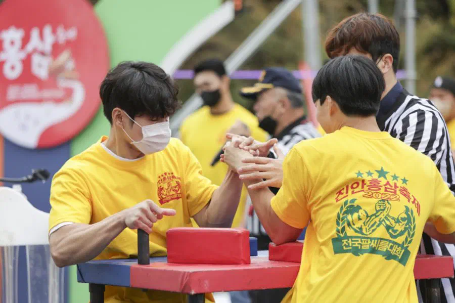 Jinan Red Ginseng Festival — festival photograph