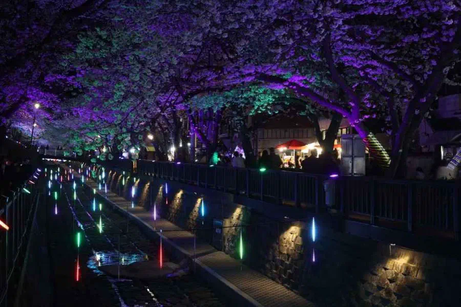 Jinhae Gunhangje Festival — festival photograph
