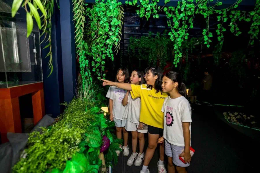 Muju Firefly Festival — festival photograph