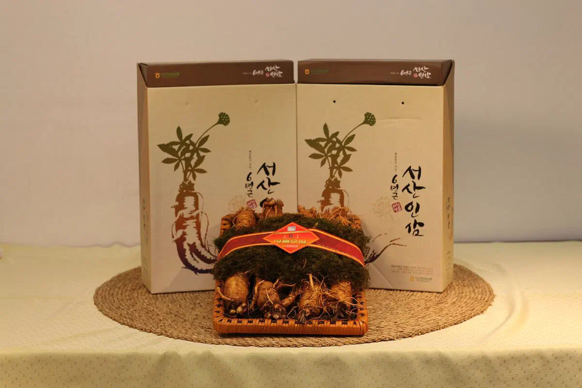 Fresh six-year-old ginseng roots packed in a woven basket under a layer of damp moss, banded with a red label, in front of two printed gift boxes marked six-year Seosan ginseng