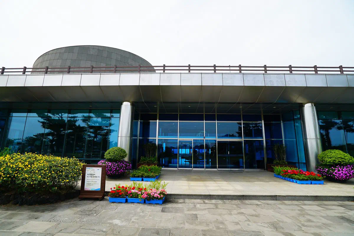 The glass-and-steel entrance of the Jeju Haenyeo Museum, its curved roof echoing a wave