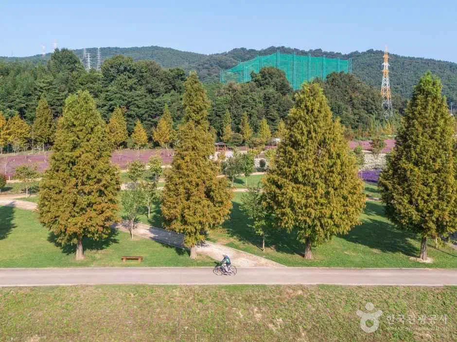 Aerial view of Sinsoyang sports park beside the Nakdonggang in Hapcheon, on the cross-country cycling route