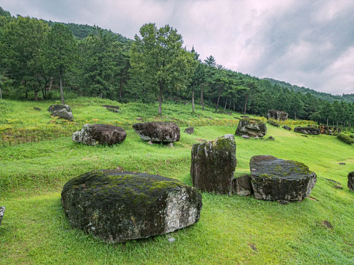 Moss-covered dolmen capstones scattered across a green hillside meadow at Hwasun, with forested slopes rising behind them