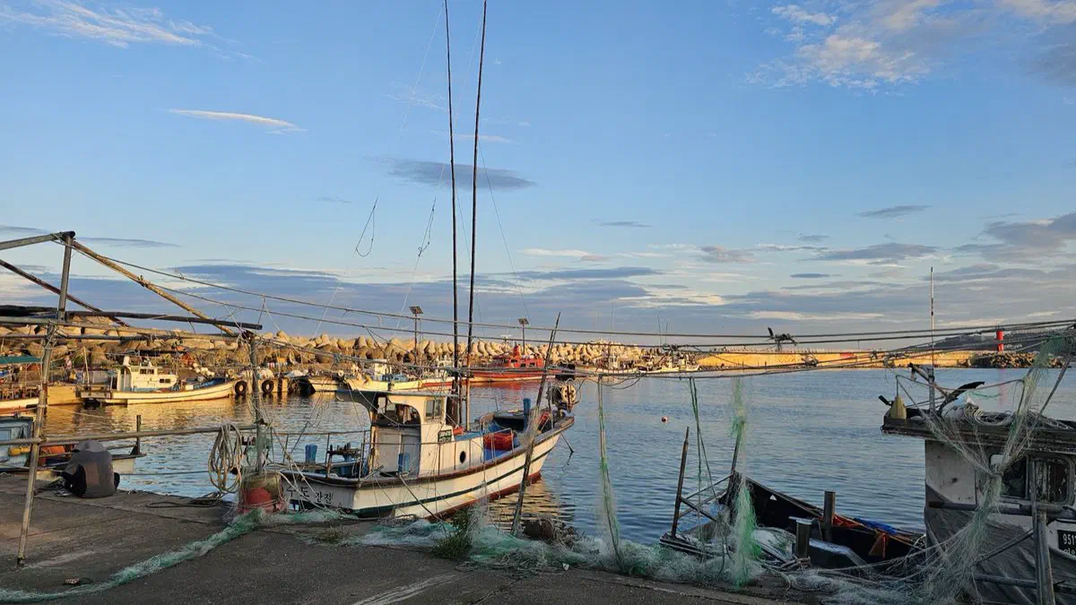 Fishing boats moored at Jeonchon Harbor on Gyeongju's coast, nets and rigging silhouetted against a sunset sky