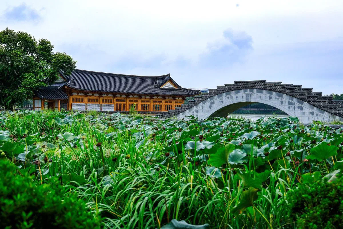 Yeonhwajeong, a hanok-style library beside an arched stone bridge at Deokjin Park in Jeonju, with lotus leaves filling the lake in front of it