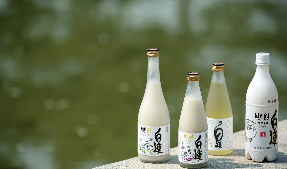 Four bottles of Baengnyeon makgeolli on a stone ledge — three in glass with printed paper labels, and one in a plain white plastic bottle of the kind sold in convenience stores