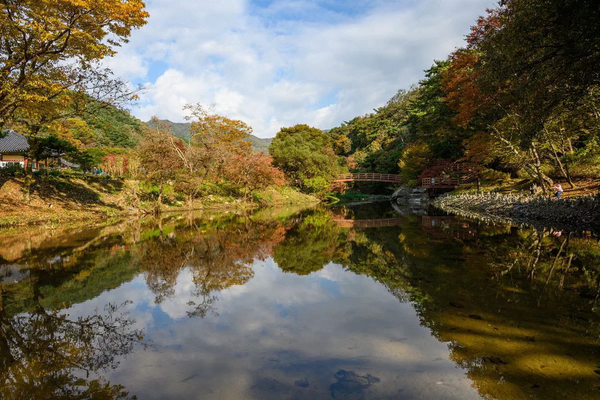 A stream winds past Magoksa's temple grounds in Gongju, a wooden bridge crossing it under autumn foliage