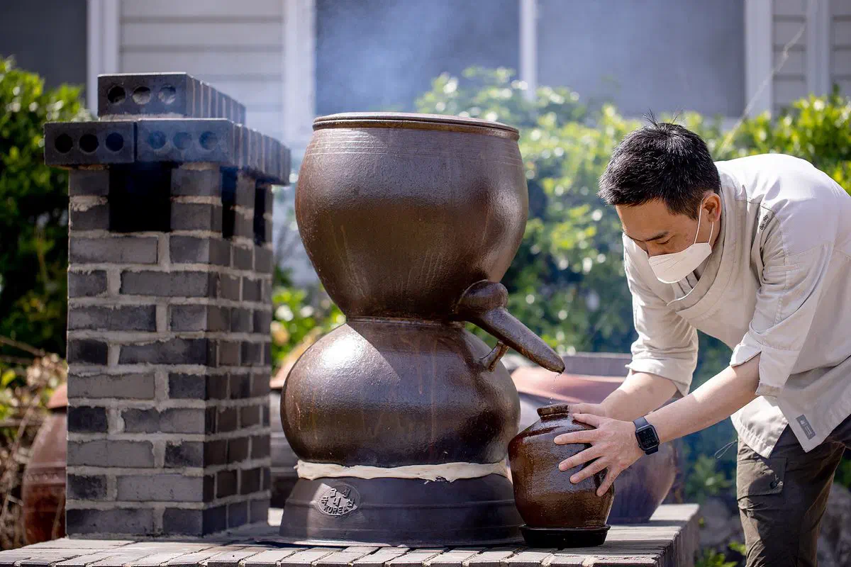 A brewer in a white jacket tending an onggi soju still set over a small brick furnace outdoors, clear distillate dripping from the spout into a squat earthenware jar