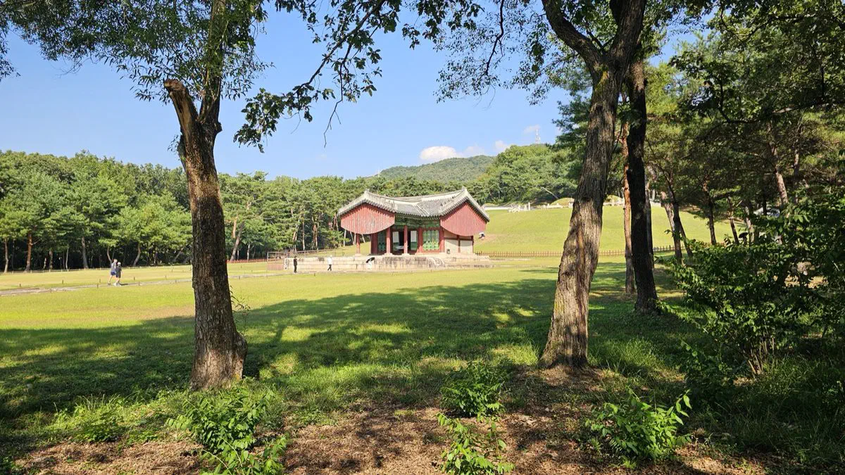 A red-walled ritual hall far across a grass field at Seooreung, framed by pine trunks