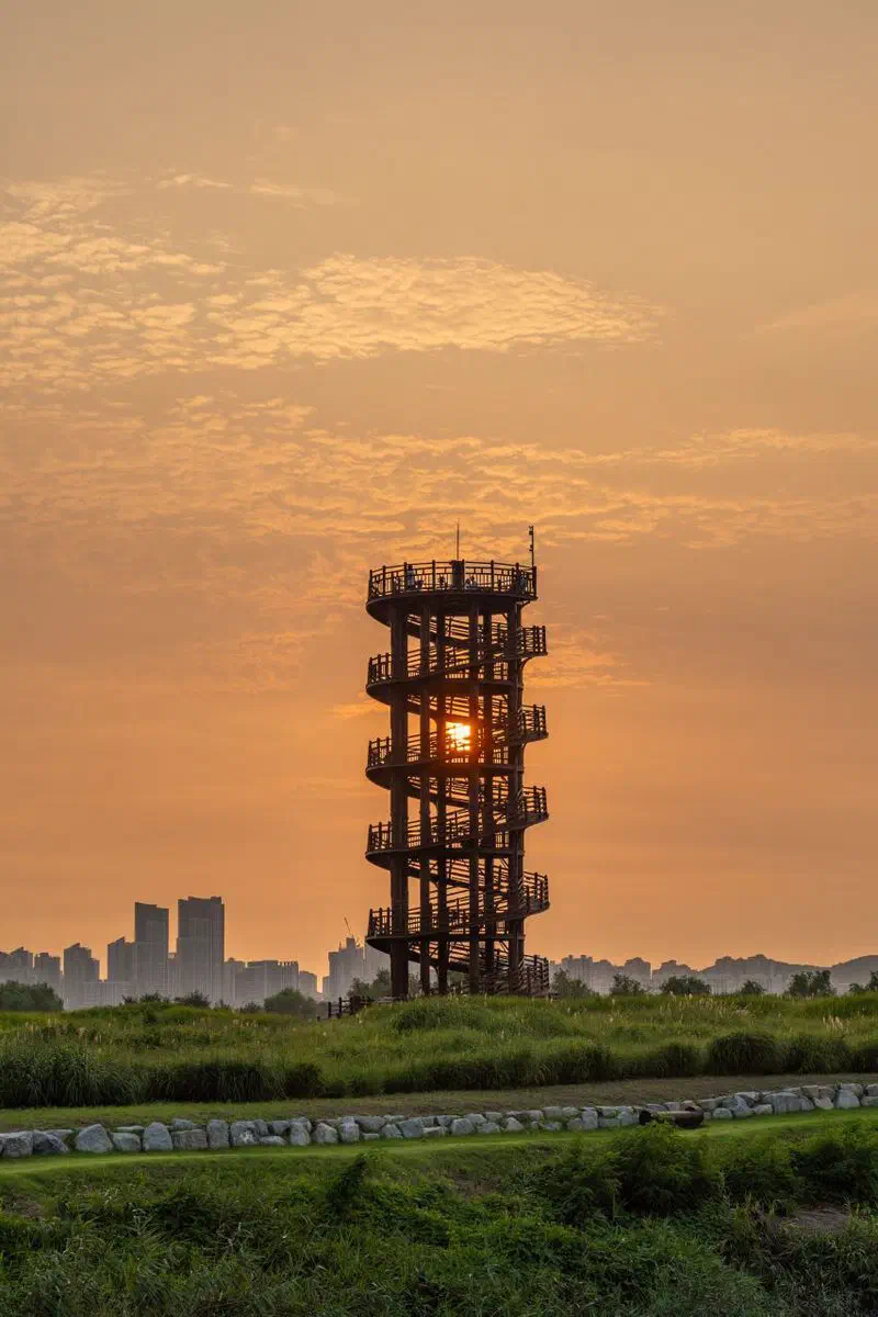 The swaying Heundeul observation deck over Siheung Gaetgol's tidal creek at sunset
