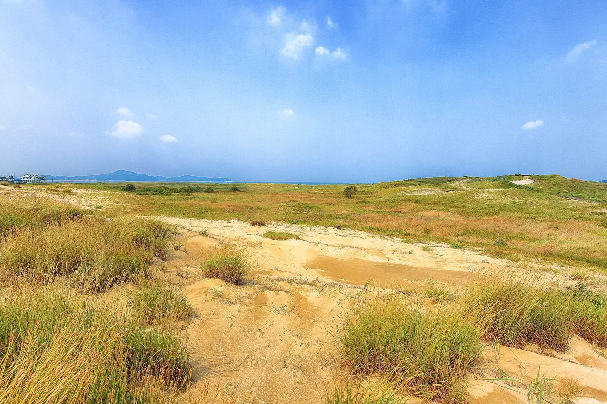 Wind-shaped sand dunes at Sinduri, Taean — Korea's largest coastal dune system