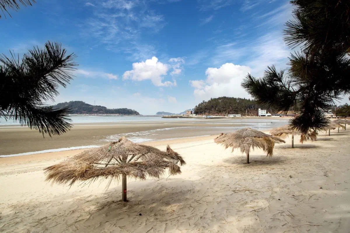 Songho Beach's pine-backed shoreline in Haenam, on the first course of the Seohaerang Trail